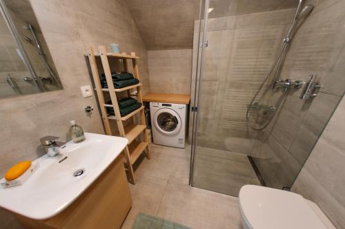 哈拉霍夫Luxusní horský apartmán v centru Harrachova的一间带水槽、淋浴和洗衣机的浴室