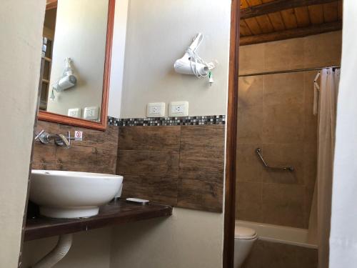 塔菲德尔瓦勒Puro Campo的一间带水槽、卫生间和镜子的浴室