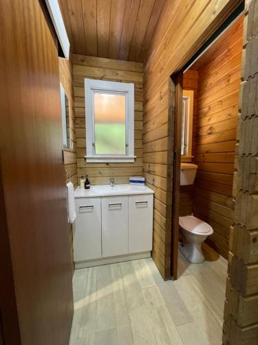 罗托鲁瓦Lakes Lodge Okataina的一间带卫生间、水槽和窗户的浴室