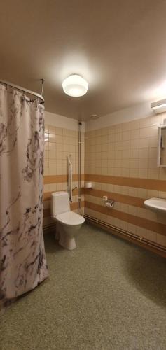 索莱夫特奥Nipanhotellet的一间带卫生间和淋浴帘的浴室