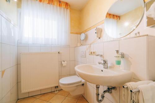 Au in der Hallertau阿本斯特尔酒店的一间带水槽、卫生间和镜子的浴室