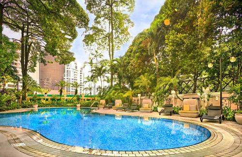 新加坡Vibe Hotel Singapore Orchard的度假村的游泳池,带椅子和树木