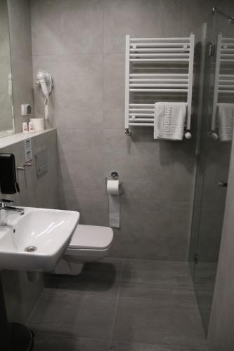 斯巴拉Centralny Ośrodek Sportu - Spała的一间带水槽、卫生间和淋浴的浴室