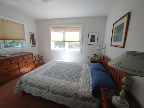 蒙彼利埃Spacious country retreat close to town and nature, Sylvana Farm VT的一间卧室配有一张床、一个梳妆台和一扇窗户。