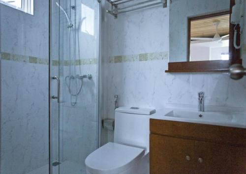 胡鲁马累PINE LODGE MALDIVES的带淋浴、卫生间和盥洗盆的浴室