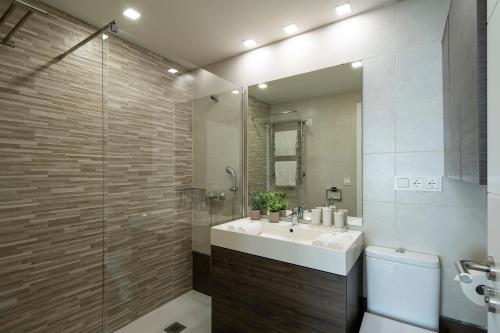 格拉纳达GUNI SUITES JARDINEs的一间带水槽和淋浴的浴室