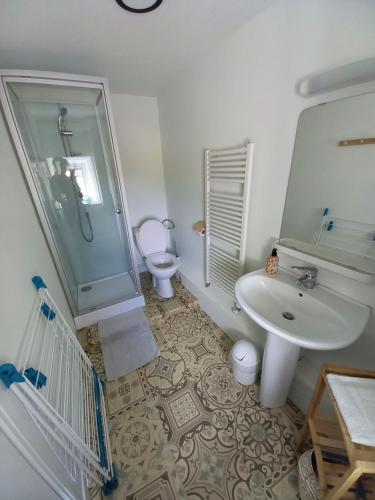 色当Appartement 3 ème étage avec piscine partagée的一间带水槽、淋浴和卫生间的浴室