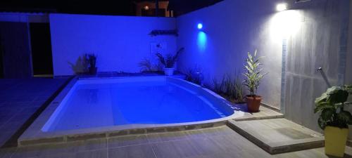 托兰克索Casa Versel Trancoso的植物间里的一个大型蓝色游泳池