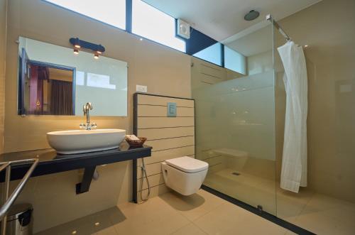 VandiperiyārThekkady Gavi Suites的一间带水槽、卫生间和镜子的浴室