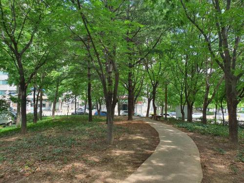 大邱Dalseogu Resting Place的树木繁茂的公园中的步行道