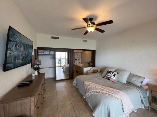 佩尼亚斯科港Sonoran Sky的一间卧室配有一张床和吊扇