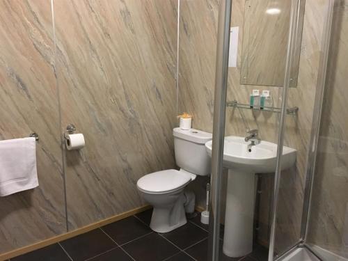 利物浦Lord Nelson Hotel的浴室配有卫生间、盥洗盆和淋浴。