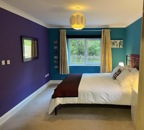 BlaydonBeautiful 2 Bed Apt with Hot Tub in Blaydon Burn的蓝色的卧室设有床和窗户