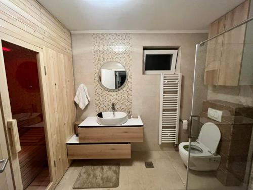 萨拉热窝Villa EMIR的一间带水槽、卫生间和镜子的浴室