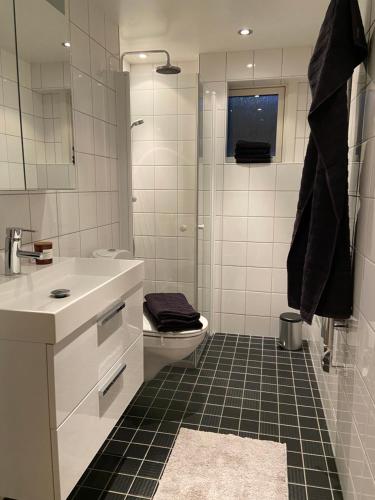 斯特伦斯塔德Annies House - Very nice 2 bedroom apt central area的浴室配有卫生间、盥洗盆和淋浴。