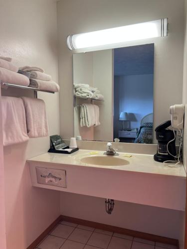 马尼斯蒂克Gray Wolf Lodge的一间带水槽和镜子的浴室