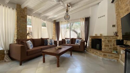 尼基季Villa eco Electra的带沙发和壁炉的客厅