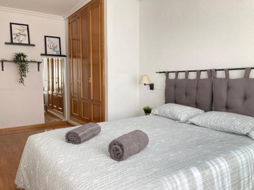 马德里Apartamento grande, 2 dormitorios, garaje gratis的一间卧室配有一张带两个枕头的床