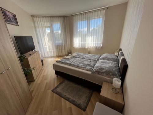 佐洛卡罗斯RelaxAp Zalakaros的一间卧室配有一张床和一台平面电视