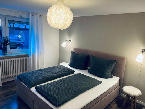 温特贝格Ferienhaus Sauerland - Traum的一间卧室配有两张带蓝色枕头和吊灯的床。