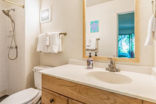 唯客乐渡假村Hale Honu的一间带水槽、卫生间和镜子的浴室