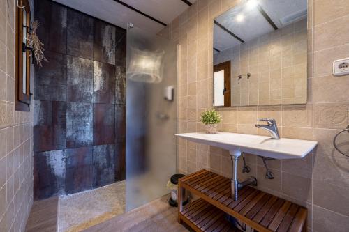 ConesaEl Clos 4的一间带水槽和淋浴的浴室