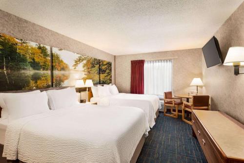 赫雷赫尔利戴斯酒店的酒店客房配有两张床和一张书桌