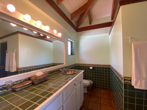 珀拉什奇亚Tranquility Beach Suites的一间带水槽、镜子和卫生间的浴室