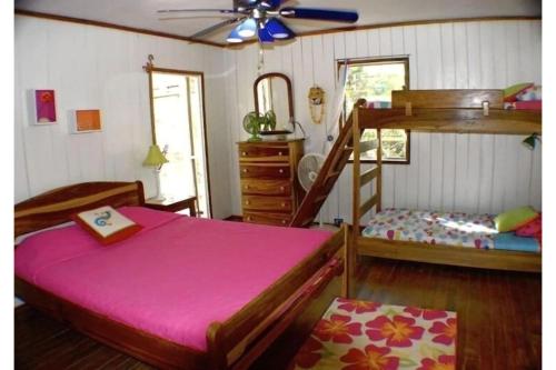 玛雅湾Seagrape Escape的一间卧室配有一张床和一张双层床。
