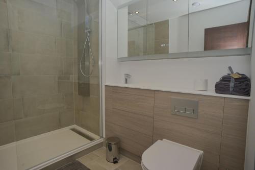 滨海绍森德Amazing Central Southend,2-bedroom flat,10th floor的带淋浴、卫生间和镜子的浴室