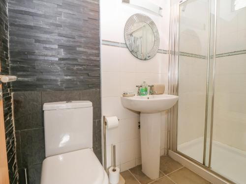 波特马多克Y Castell Apartment 3的浴室配有卫生间、盥洗盆和淋浴。