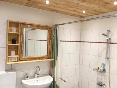 阿德蒙特Haus Rosina的带淋浴、盥洗盆和镜子的浴室