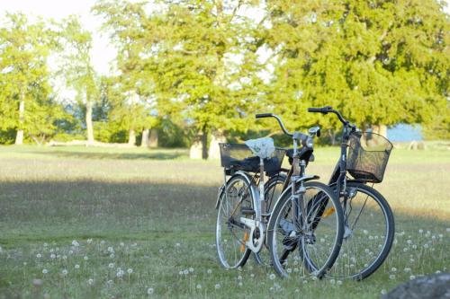 Andrarum-BrosarpSTF Andrarum Kuskahusen Hostel的两辆自行车停在公园里,彼此相邻