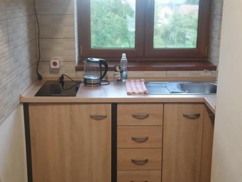 SmilovicePenzion Vilma的带水槽的厨房台面和窗户