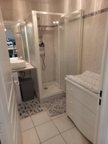 圣雷热雷梅累兹Appartement offrant une magnifique vue des montagnes的带淋浴、卫生间和盥洗盆的浴室