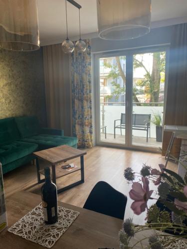 伊拉华Apartament Tomek的客厅配有绿色沙发和桌子