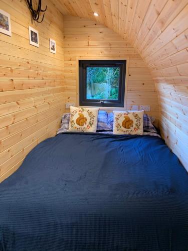 德拉姆纳德罗希特Loch Ness Woodland Pods的小木屋内的一张床位,设有窗户