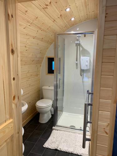 德拉姆纳德罗希特Loch Ness Woodland Pods的一间带卫生间和玻璃淋浴间的浴室
