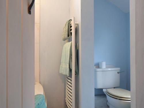 阿什比圣勒杰斯Richmond Cottage的一间带卫生间和毛巾架的浴室