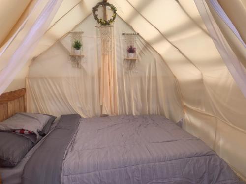 金塔马尼Tukadsari camping的帐篷里的一个床位,里面装有两株植物