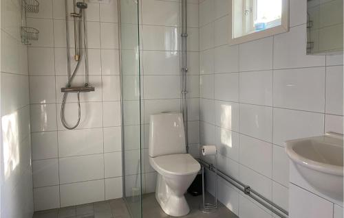 GnisvärdBeautiful Home In Gotlands Tofta With Kitchen的一间带卫生间和水槽的浴室