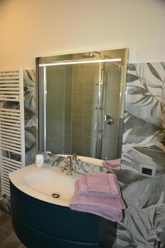 索亚诺德拉戈Casa Monstagol的一间带水槽和淋浴的浴室