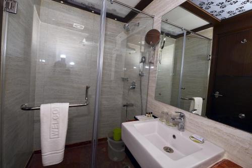 加尔各答Ethnotel, Kolkata Airport的浴室配有盥洗盆和带镜子的淋浴