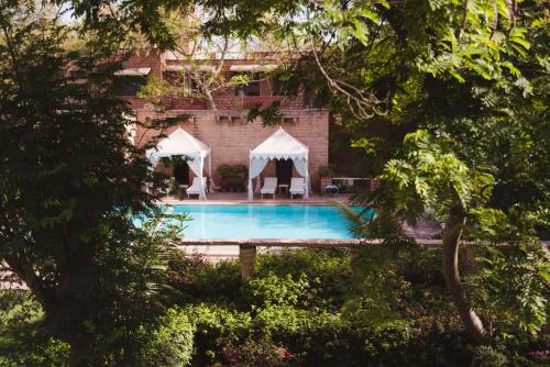 焦特布尔德威巴万 - 传统酒店的一座树木繁茂的庭院内的游泳池