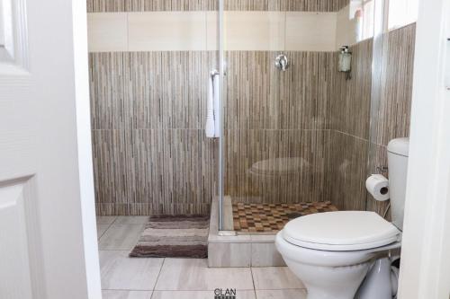 MohlanapengTHE CLAN LODGE的带淋浴、卫生间和淋浴的浴室