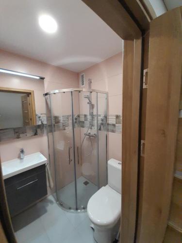 考纳斯Vytės apartamentai的带淋浴、卫生间和盥洗盆的浴室