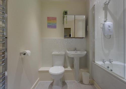 伯明翰Ground Floor Apartment Private Parking Sleeps 5 near City Centre and Shopping Centre的浴室配有卫生间、盥洗盆和淋浴。