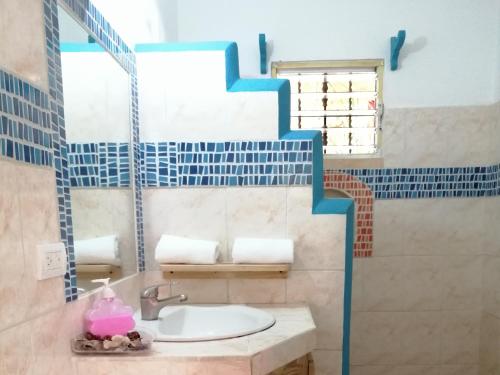拉斯特拉纳斯贾尔丁德尔加勒比公寓式酒店的一间带水槽和镜子的浴室