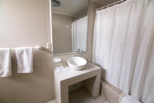 塔克纳普利米尔酒店的浴室设有白色水槽和镜子