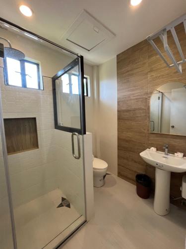 达沃市红色骑士花园酒店的带淋浴、卫生间和盥洗盆的浴室